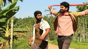 திட்டிவாசல் — foto 4
