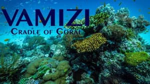 Vamizi Cradle of Coral — foto 1