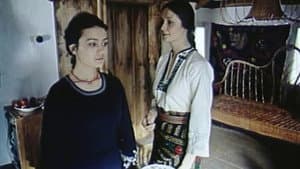 Така пізня, така тепла осінь — foto 9