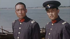 路漫漫 — foto 1