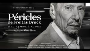 Péricles de Freitas Druck - Meu Tempo é Agora — foto 1