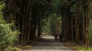 시인의 사랑 — foto 3