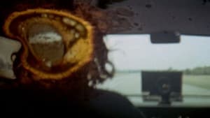 Two-Lane Blacktop — foto 8