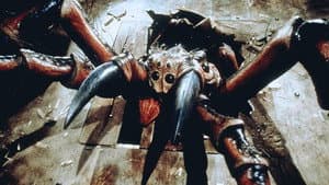 Spiders — foto 2