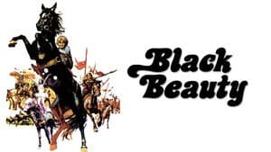Black Beauty — foto 6