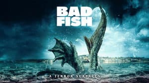 Bad Fish — foto 5