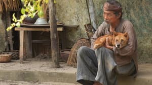 Cậu Vàng — foto 3