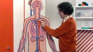 Episodio 2