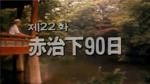 Episodio 22