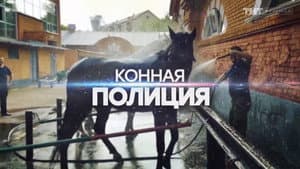 Episodio 11