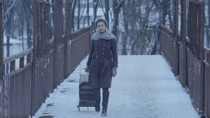 Метелик — foto 1