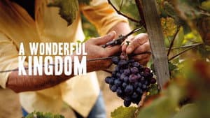 A Wonderful Kingdom — foto 1