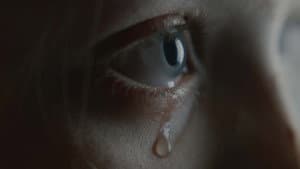 Anastatica — foto 1