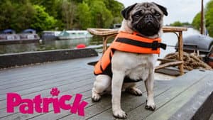 Patrick — foto 11