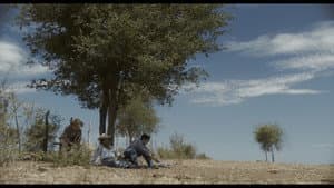 Coyote — foto 3