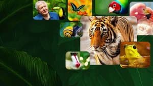 La vida a color con David Attenborough — foto 2
