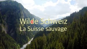 Wilde Schweiz — foto 3