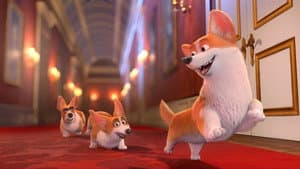 Corgi: Un perro real — foto 5