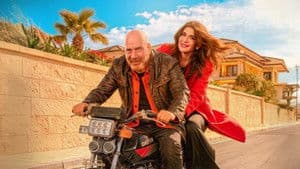 فاميلي بيزنس — foto 1