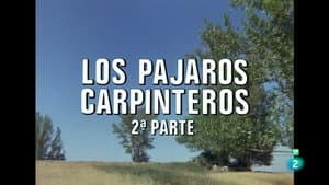 Episodio 39