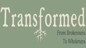 Transformed — foto 1