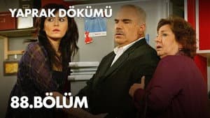 Episodio 88