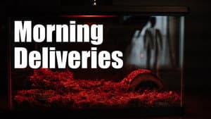 Morning Deliveries (Milkman #1) — foto 1