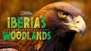 Iberia's Woodlands: Life on the Edge — foto 1