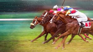 Race for the Crown — foto 1
