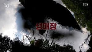 Episodio 40