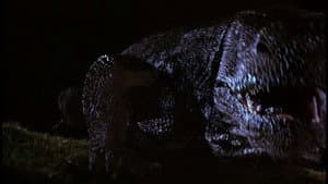 Komodo — foto 2