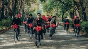向光花盛开 — foto 1