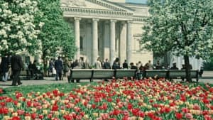 О Москве и москвичах — foto 1