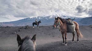 The Road to Patagonia — foto 2