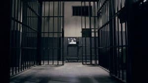 Once Upon a Crime: The Borrelli – Davis Conspiracy — foto 5