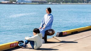 兄を持ち運べるサイズに — foto 3