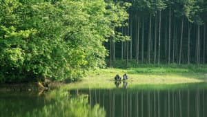 花よりもなほ — foto 3