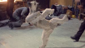 The Karate Dog — foto 2