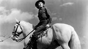 Brigham Young — foto 4
