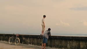 ใบไม้ผลิปีที่ 17 — foto 2