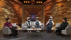 Episodio 206