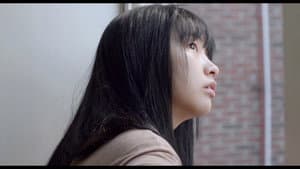 전학생 — foto 1