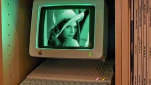 Losing Lena — foto 1