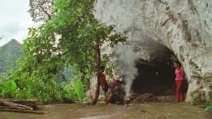 Nhà Cây — foto 3