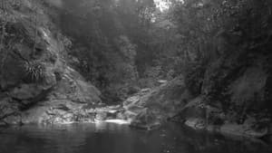 Supaj Ñuñu — foto 2
