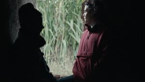 Solo arrojaron — foto 4