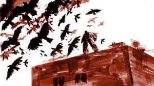 Shadows — foto 4