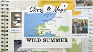 Chris and Meg's Wild Summer — foto 1