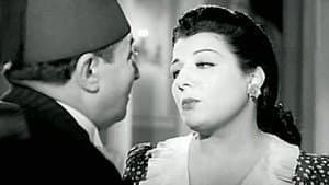 كدب في كدب — foto 2