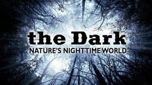The Dark: Nature's Nighttime World — foto 2